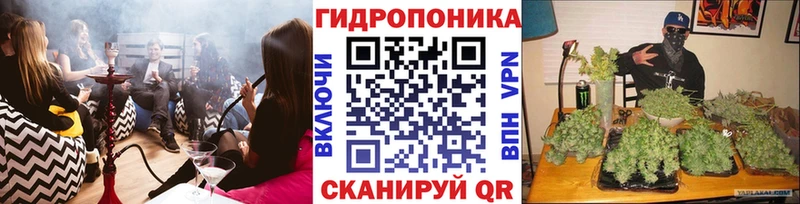 MEGA зеркало  Ставрополь  Канабис индика  сколько стоит 